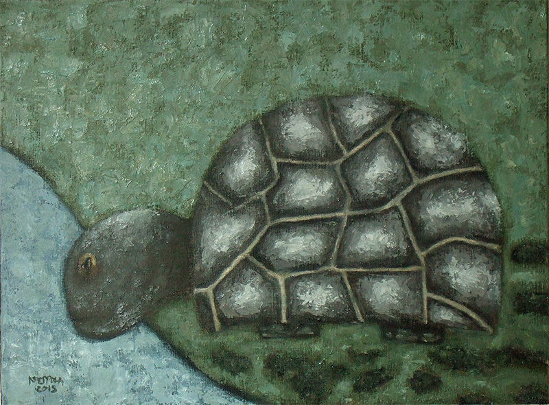 River Turtle